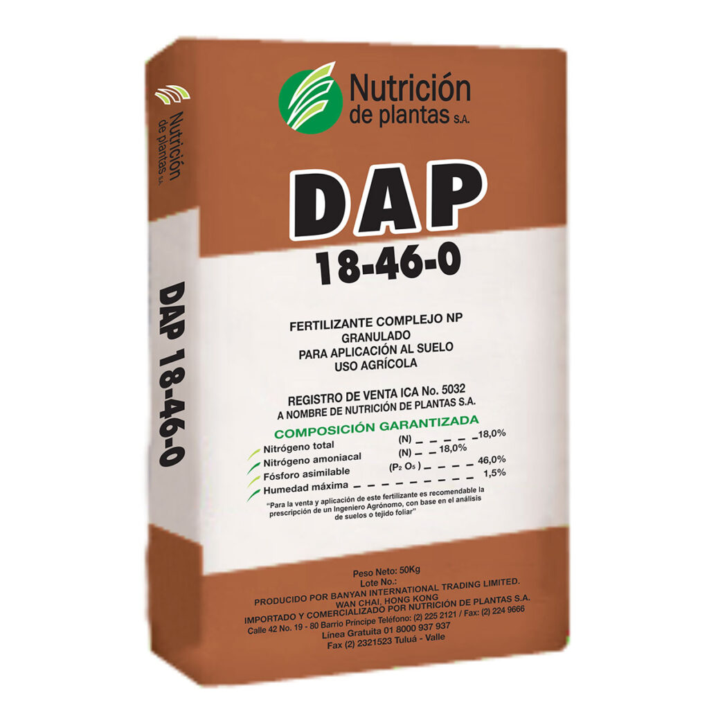 DAP