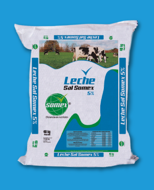 SOMEX LECHE 5%