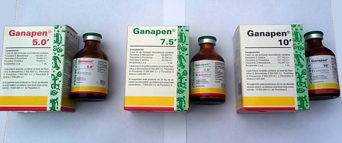 GANAPEN