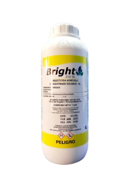 BRIGHT 216 SL