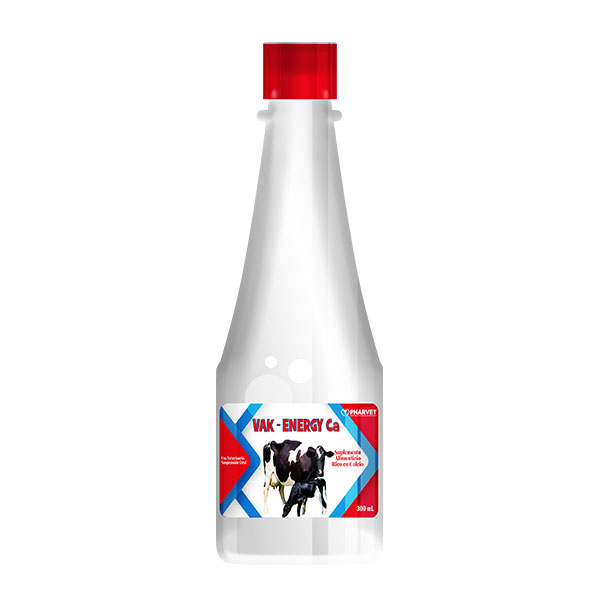 VAK ENERGY CA
