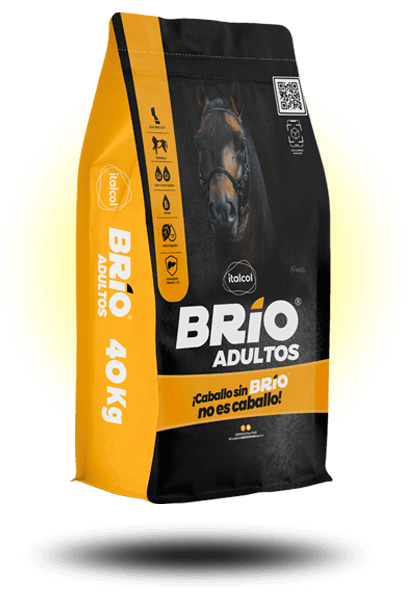 BRIO ADULTOS