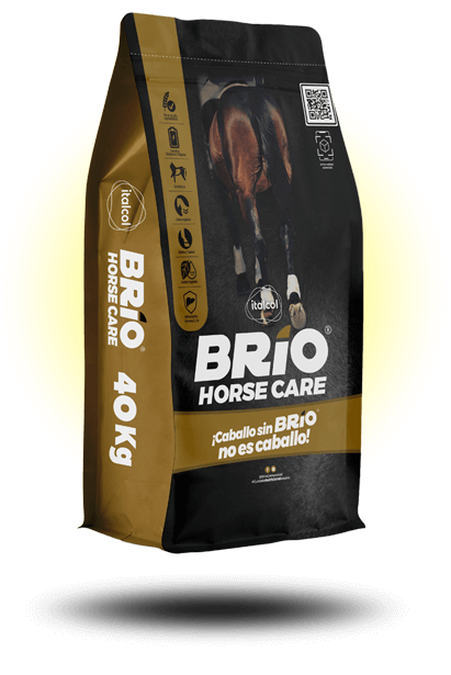 BRIO HORSE CARE