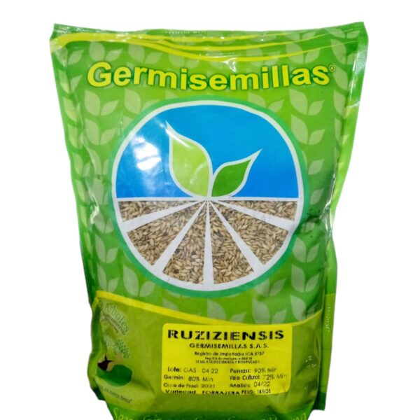RUZIZIENSIS