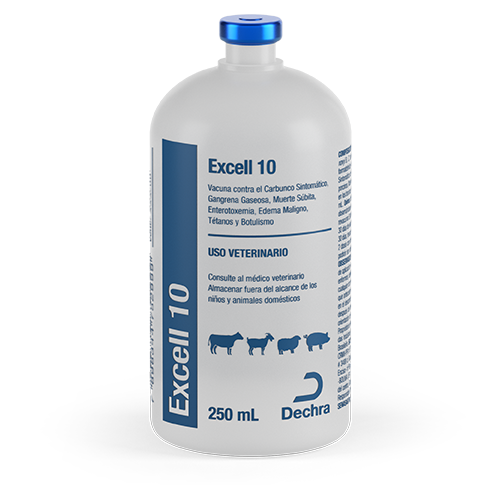 EXCELL 10
